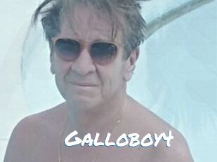 Galloboy4