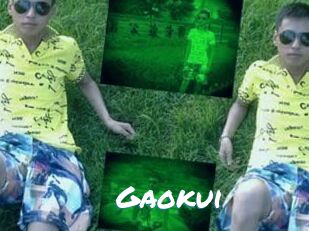 Gaokui