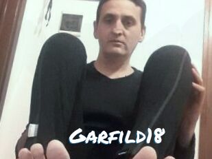 Garfild18