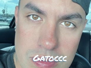Gatoccc