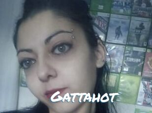 Gattahot