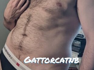 Gattorcatnb