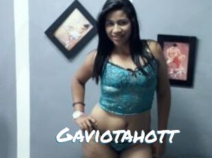 Gaviotahott