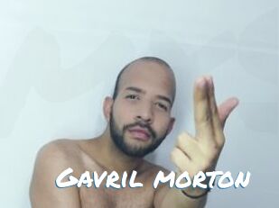 Gavril_morton
