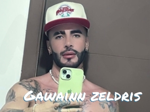 Gawainn_zeldris