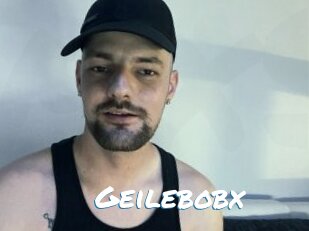 Geilebobx