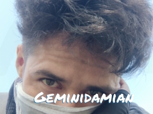 Geminidamian