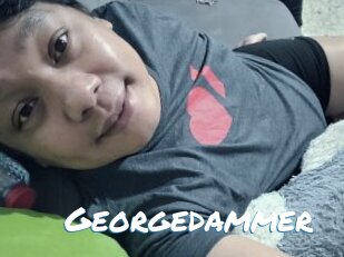 Georgedammer