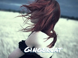 Gingercat