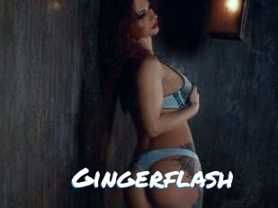 gingerflash Max 50