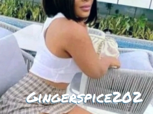 Gingerspice202