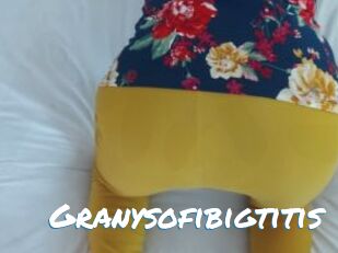 Granysofibigtitis