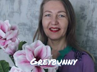 Greybunny