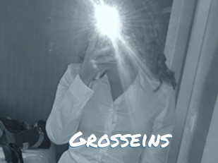 Grosseins