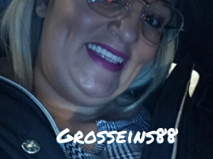 Grosseins88