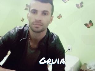 gruia Max 50