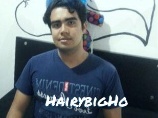 HairybigHo