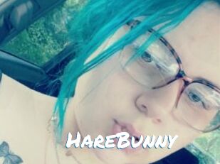 HareBunny
