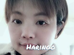 Haringo