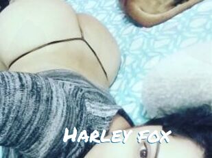 Harley_fox