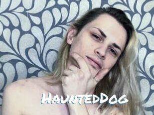 HauntedDog Max 50