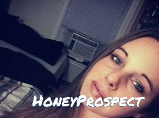 HoneyProspect