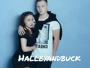Halleyandbuck