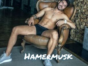 Hamermusk