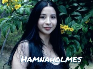 Hamnaholmes