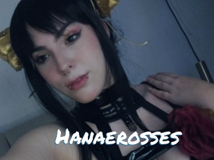 Hanaerosses