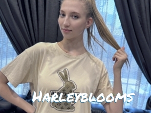 Harleyblooms