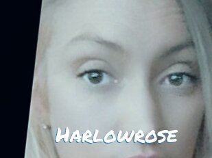Harlowrose