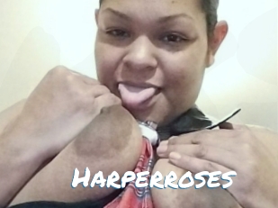 harperroses Max 50