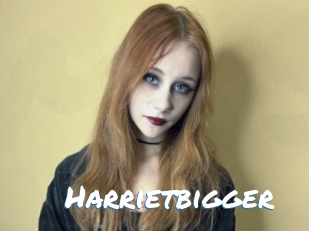Harrietbigger