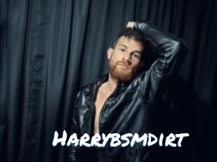Harrybsmdirt