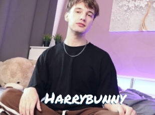 Harrybunny