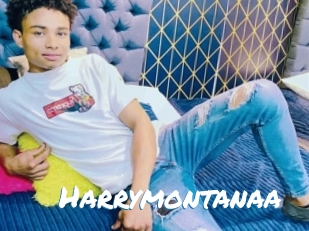 Harrymontanaa