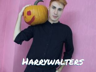 Harrywalters