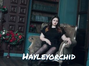 Hayleyorchid