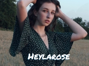 Heylarose