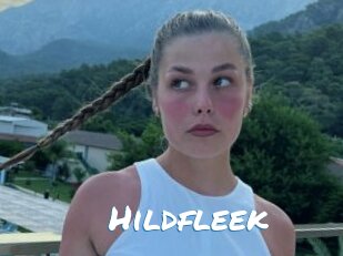 Hildfleek