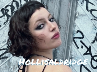 Hollisaldridge