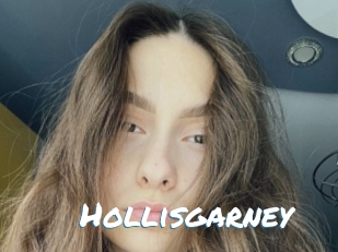 Hollisgarney