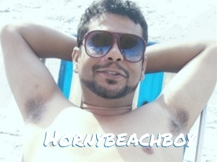 Hornybeachboy