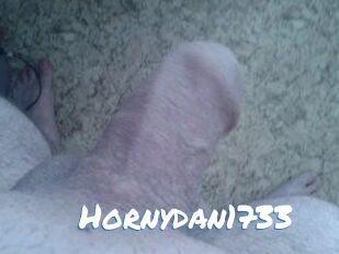 Hornydan1733