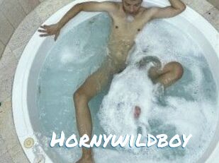 Hornywildboy