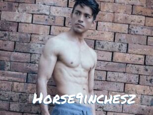 Horse9inchesz