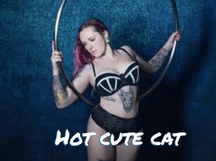 Hot_cute_cat
