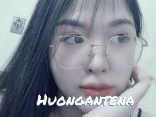 huongantena Max 50