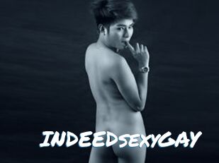 INDEEDsexyGAY